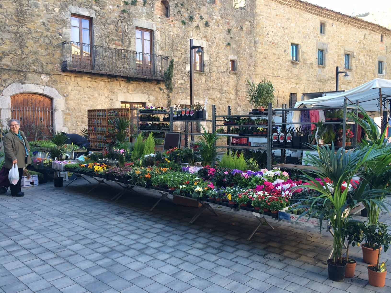 Colorful flower market stand with potted plants and vibrant blooms set against historic stone buildings in a European town.