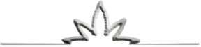 Cannashock.com