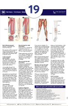 Below Knee Amputation