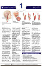 Carotid Endarterectomy