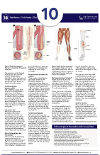 Radiofrequency Ablation or Endovenous Laser Therapy for Varicose Veins (EVLT)