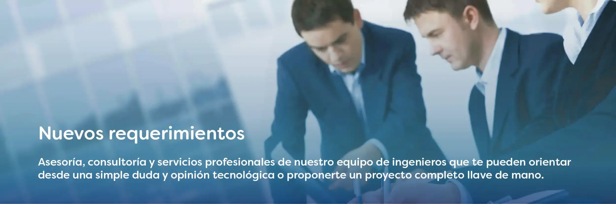 Asesoria y consultaria en IT Services