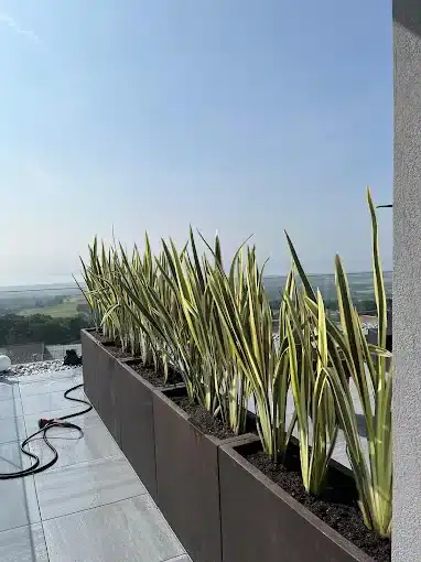 Création et aménagement de jardin Genève et Vaud