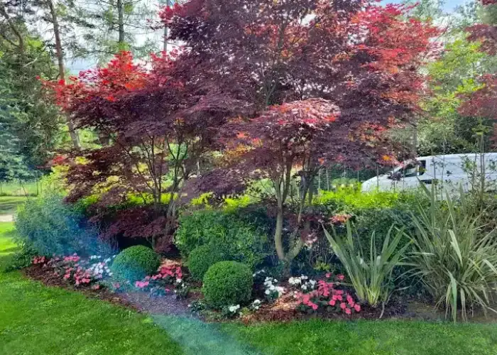 Vente de plantes pour particuliers et professionnels Genève et Vaud