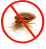 bed bug control vaughan