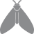 moth icon