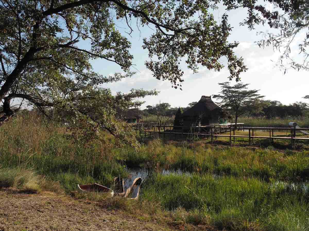 Camp Kwando Namibia Afrika