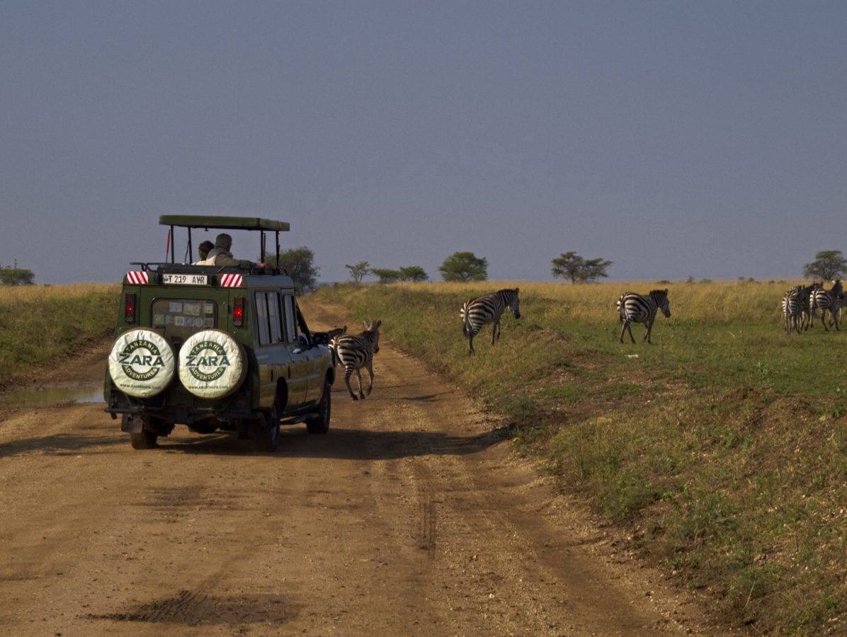 Erlebnisreiches Tansania - Teil 2 12