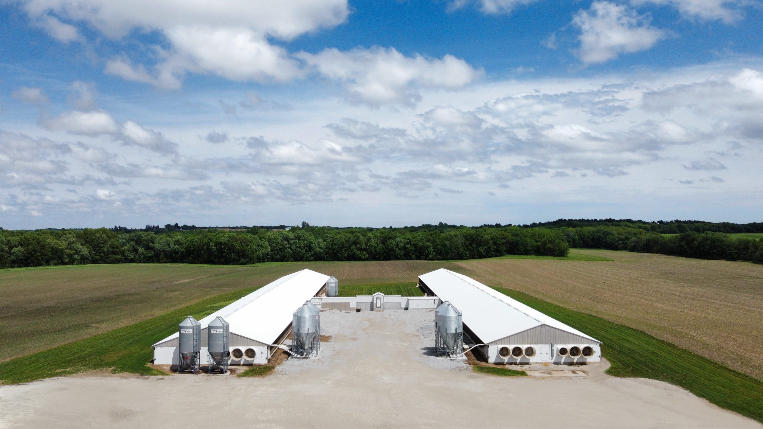Hog Building