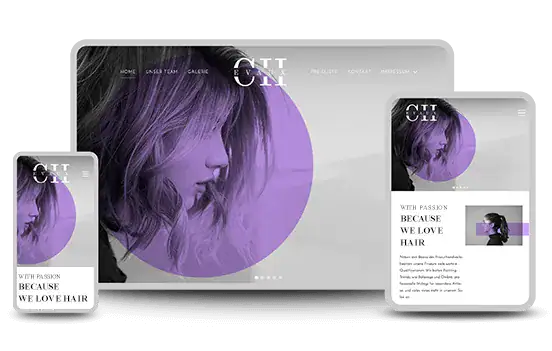 Professional responsive visual affordable web design