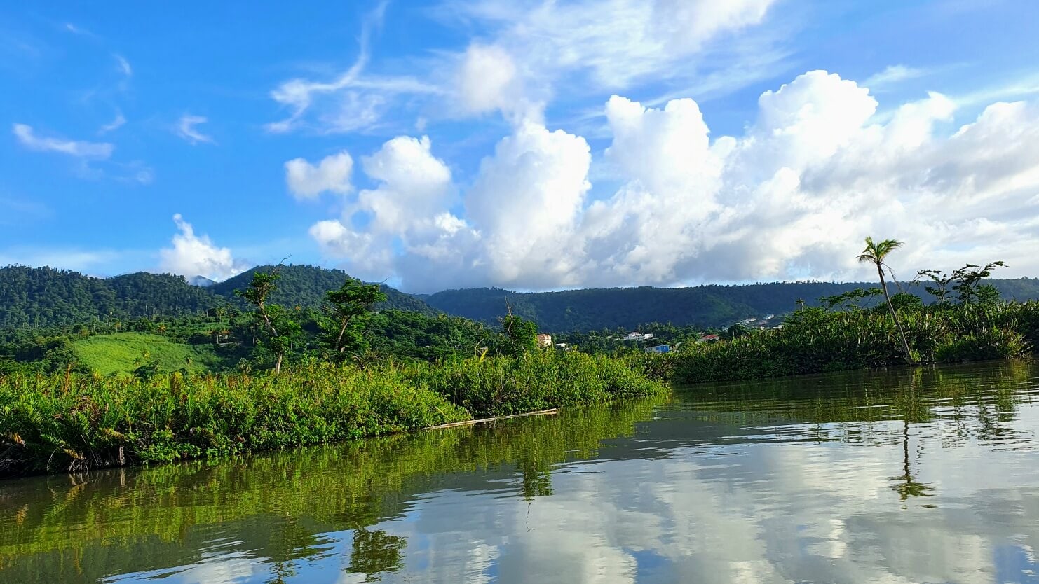 Indian River / Dominica