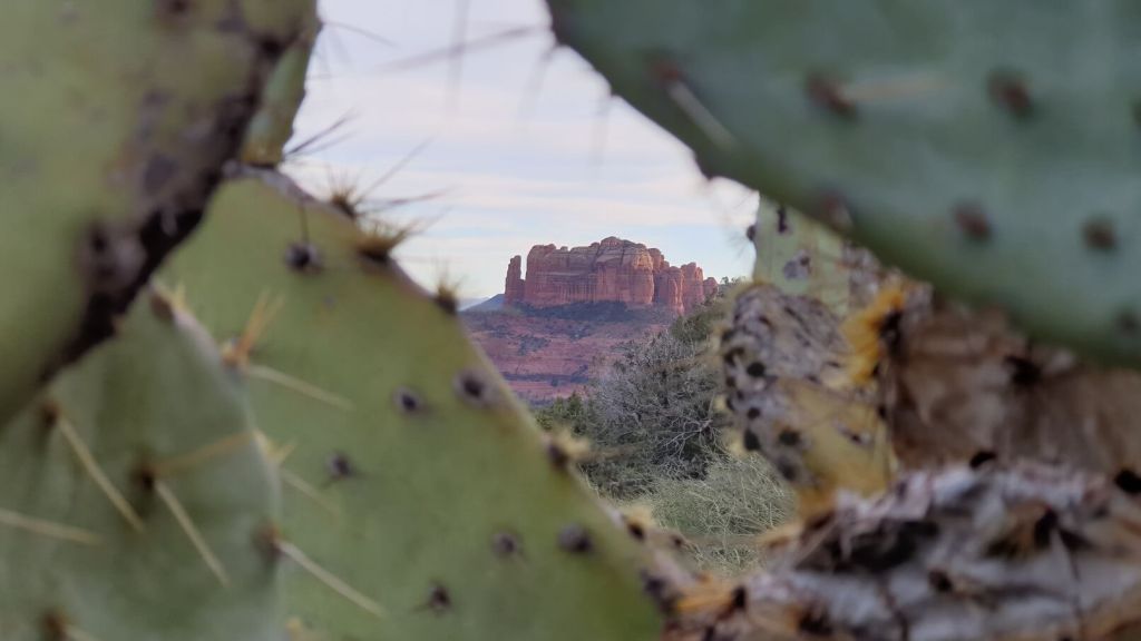Blick auf die Umgebung von Sedona