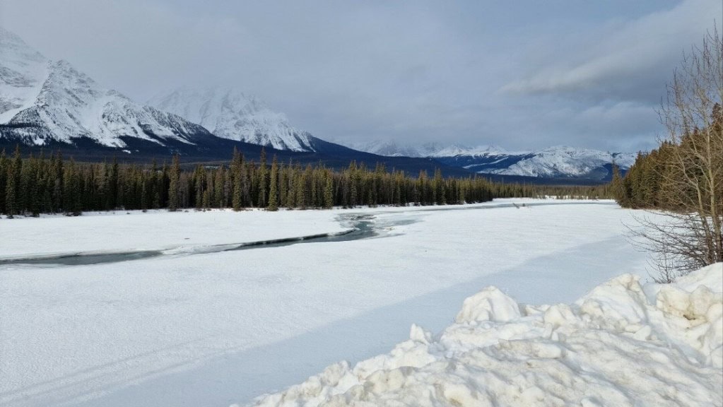 Blick im Jasper National Park