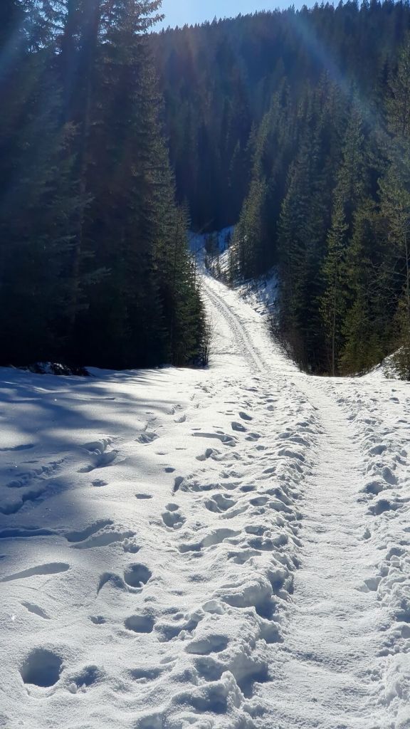 Langer Weg zwischen den Parkplätzen im Winter