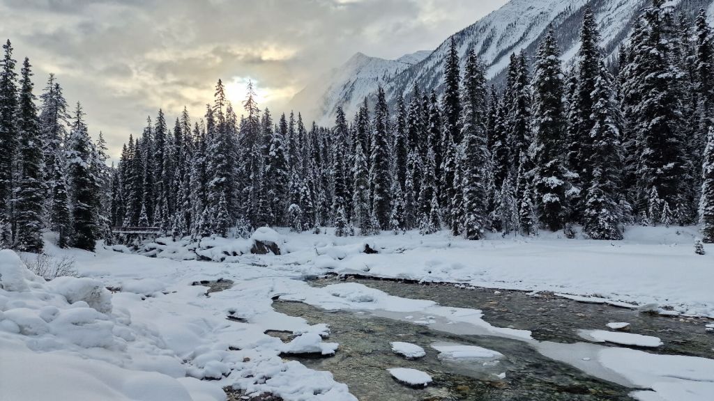 Winterlandschaft in Kanada