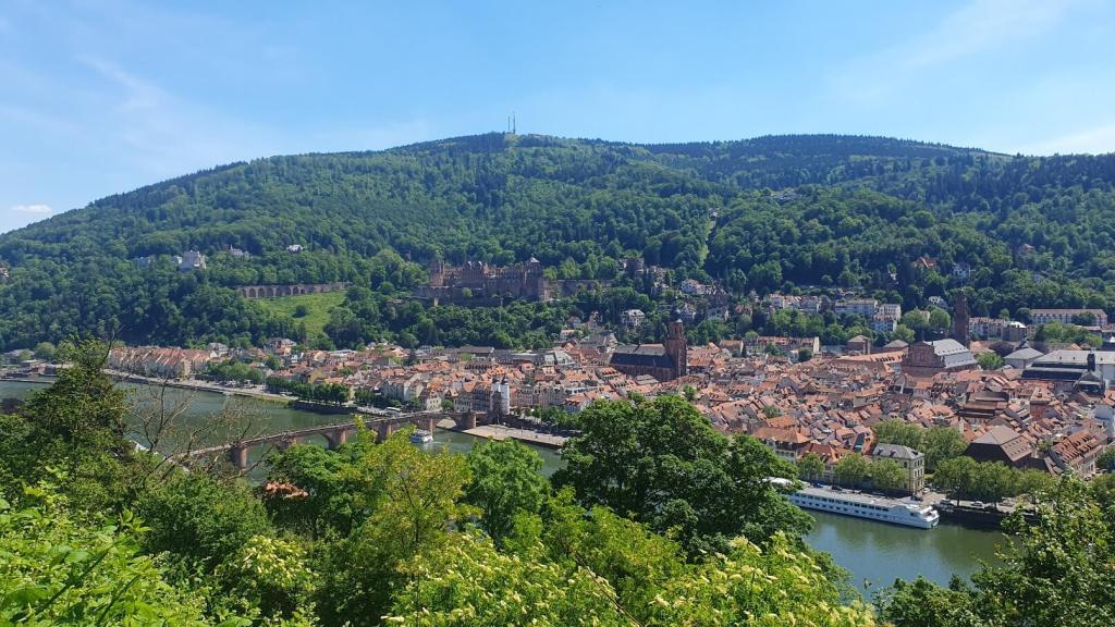 Blick auf Heidelberg