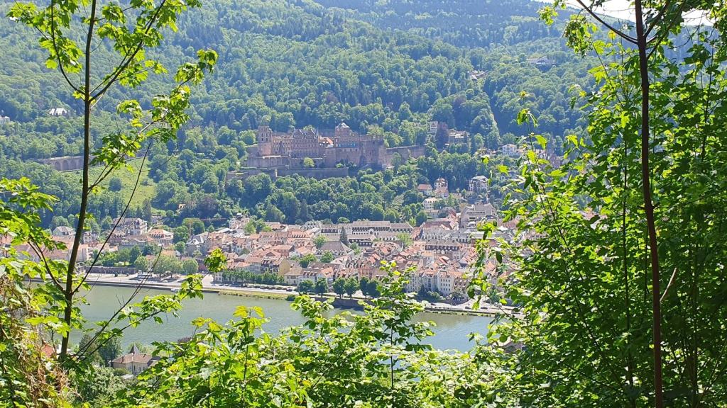 Ausblick auf das Heidelberger Schloss