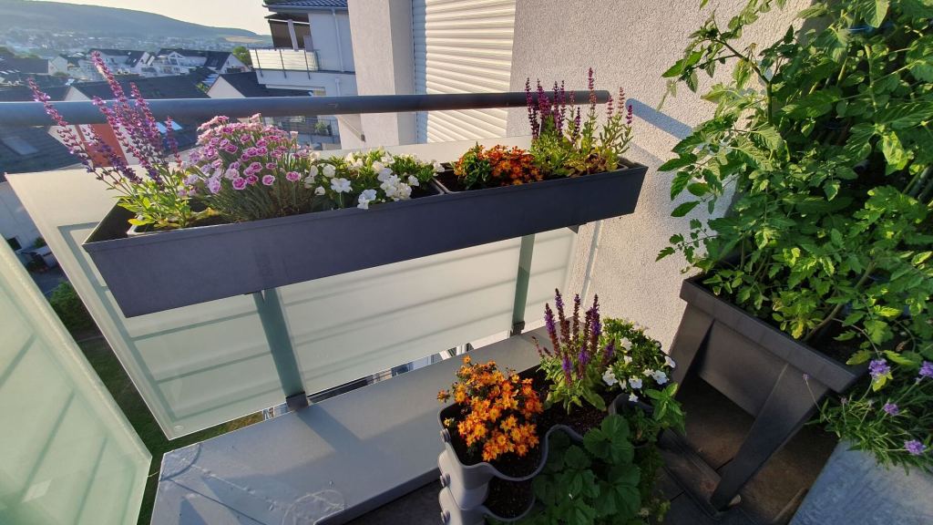 Meine Pflanzen noch ohne die Bewässerung von Gardena
