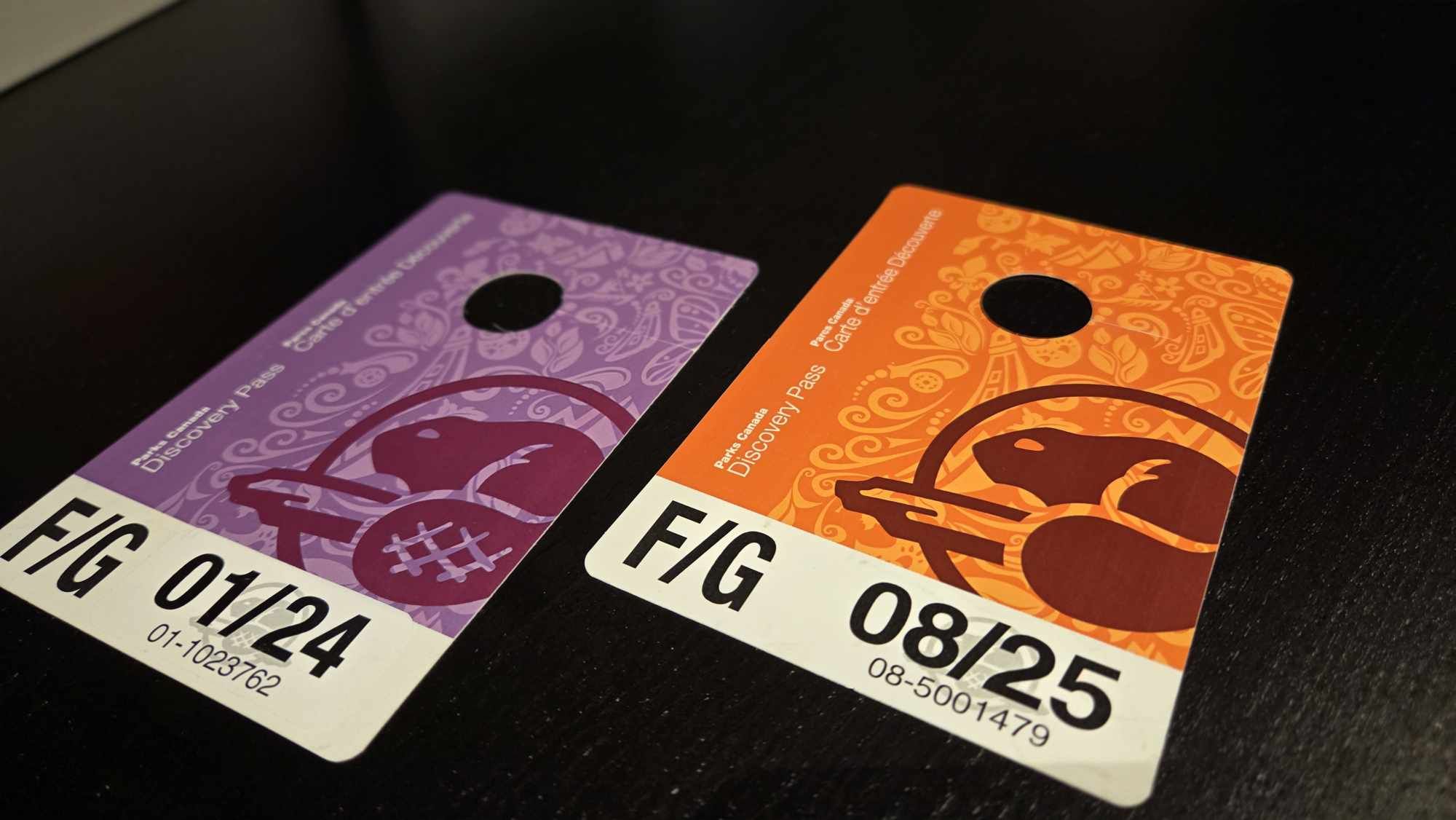 Parks Canada Discovery Pass - Der Jahrespass für die Kanada - Nationalparks