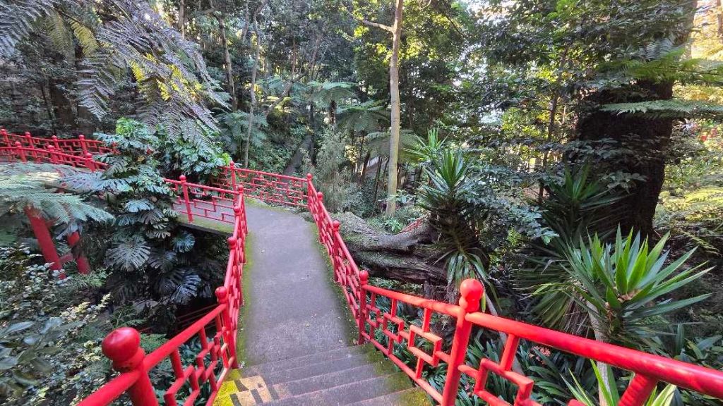 Üppige tropische Pflanzen und rote Treppen im Monte Palace Garten