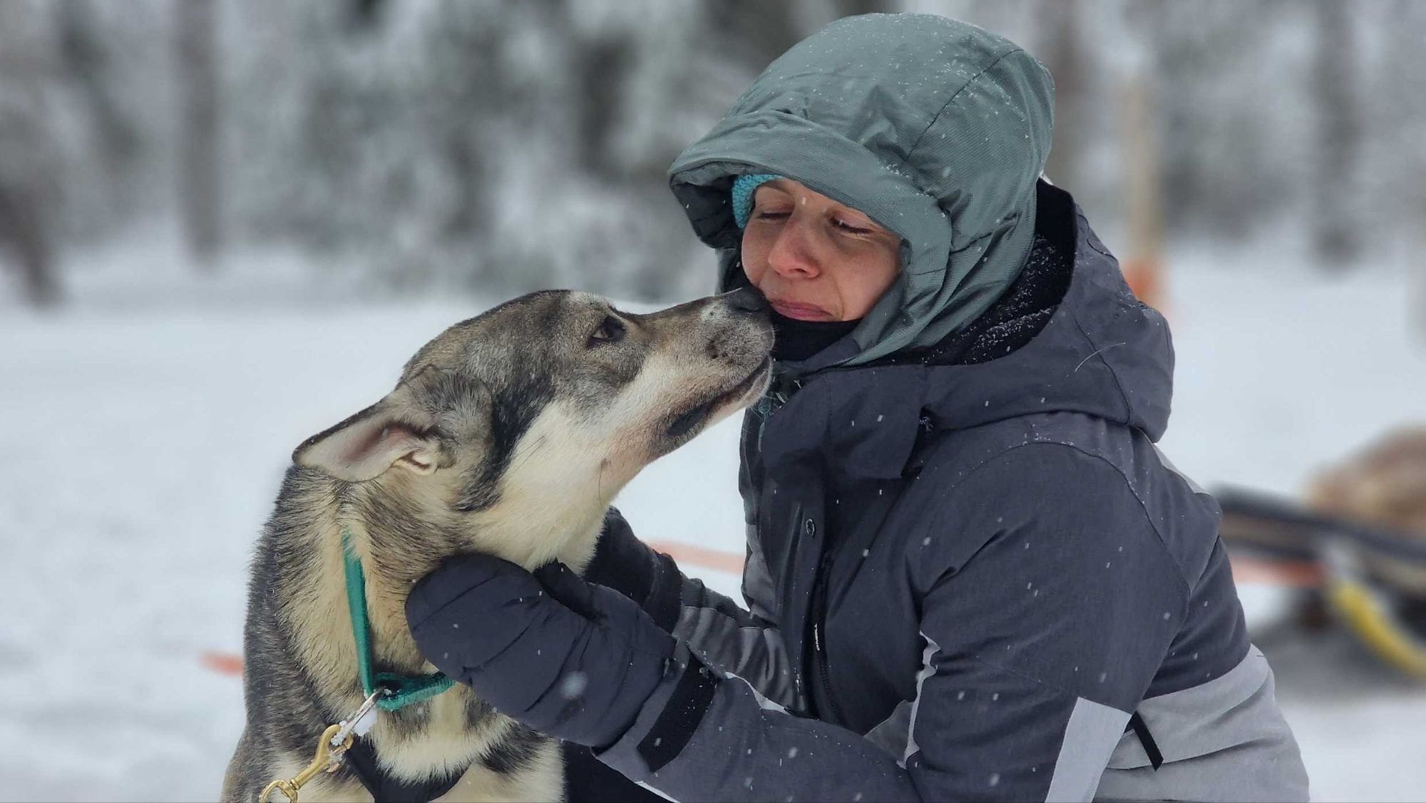 Hundeschlittenfahrt in Finnland – Huskytour bei Finn Jann