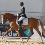 coppery_trab_gr