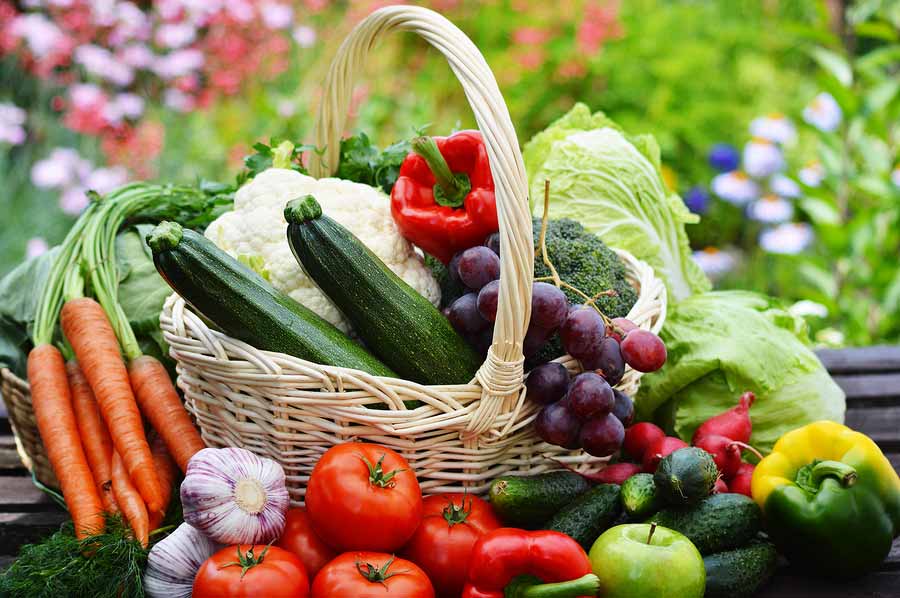 Fresh organic vegetables in wicker basket in the garden. [[** Note: Shallow depth of field ** Note: Visible grain at 100%, best at smaller sizes
