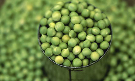 Peas