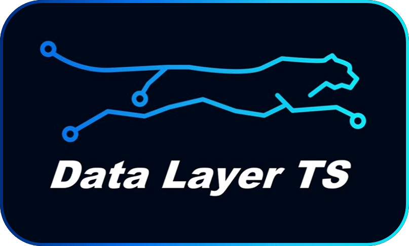 Data Layer TS Logo