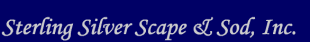 Sterling Silver Scape