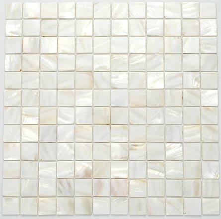 White Shell S11