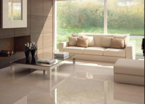 Mitral Porcelain