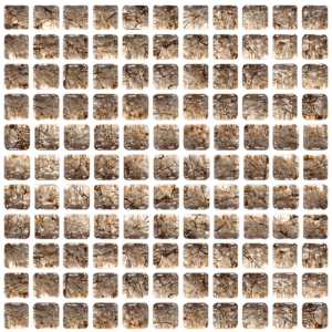 Rock Ice Squared Up