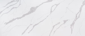 calacatta leon quartz