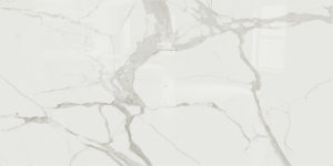 Forte Glossy