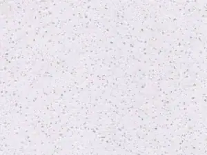 Maple White