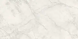 Moonlight