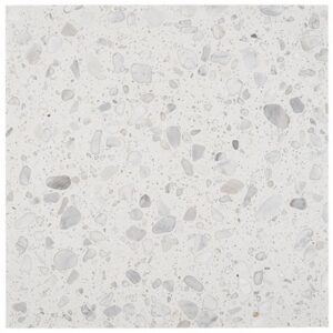 Italy Terrazzo Sacra Bianco 24×24 Honed