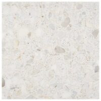 Italy Terrazzo Sacra Calacatta 24×24 Honed