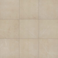 Elegant Beige