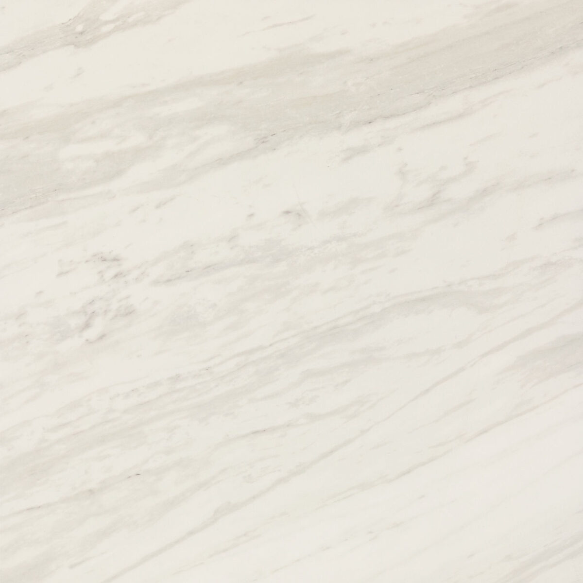 Timeless White