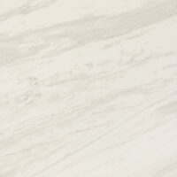 Timeless White