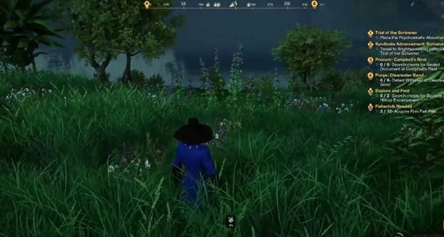 New World Fishing Baits Location