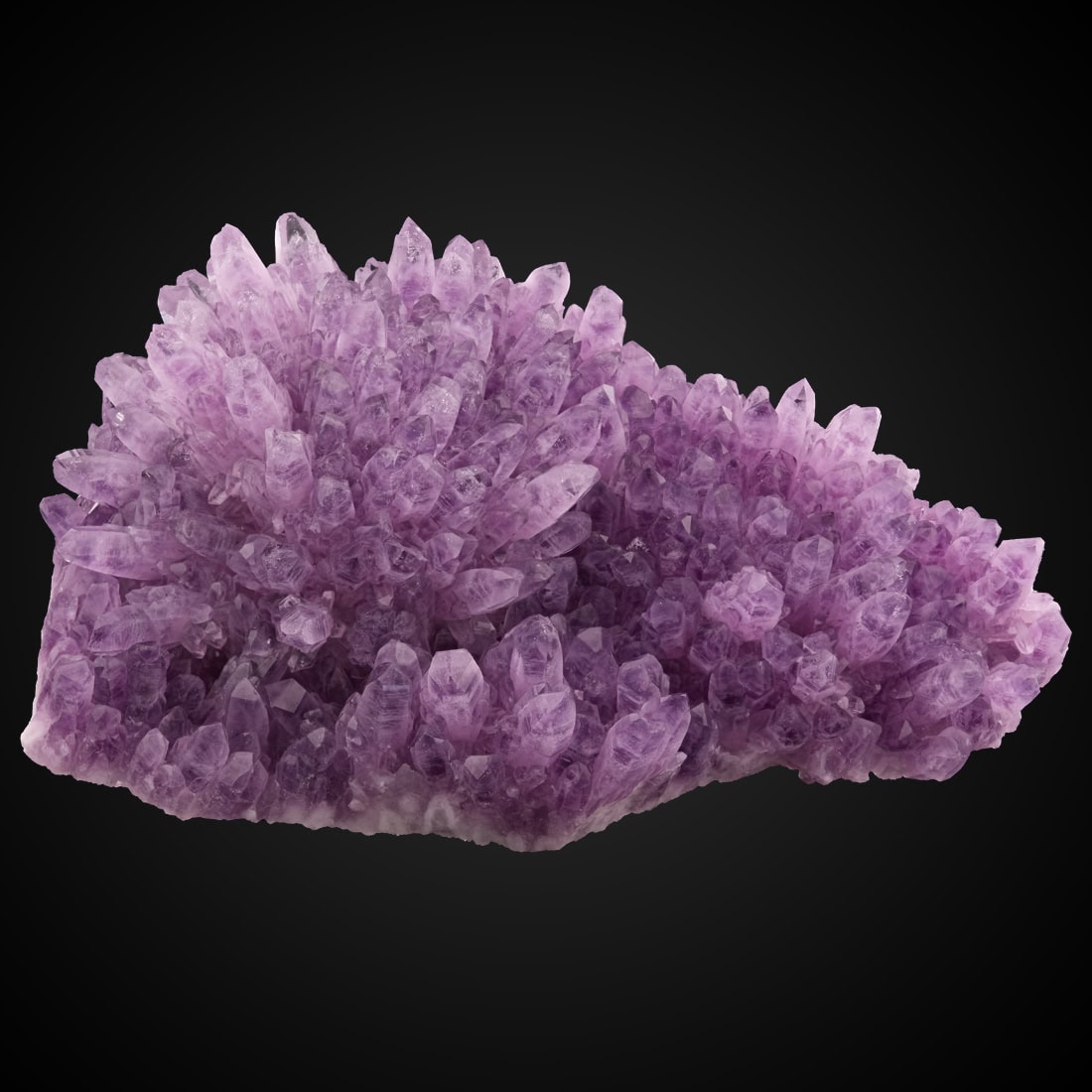Quartz v. Amethyst