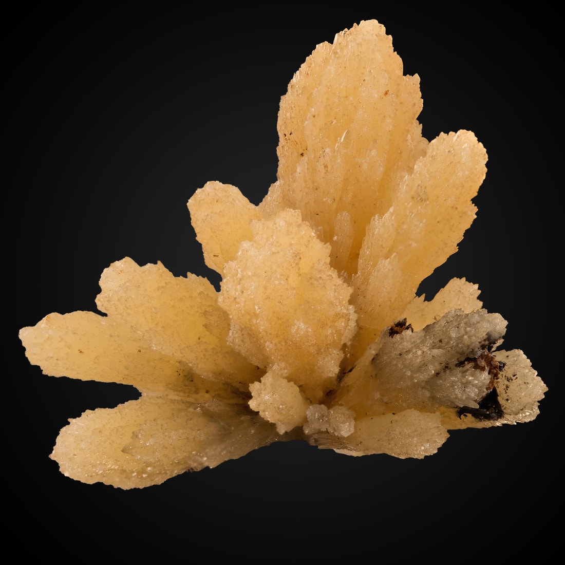 Mimetite