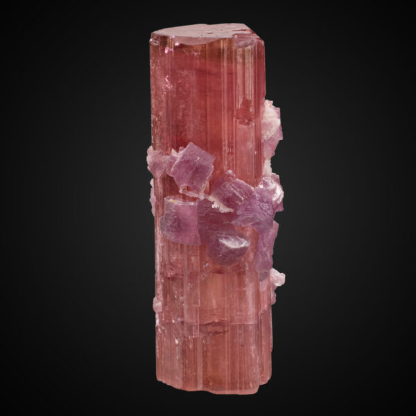 Elbaite, Lepidolite