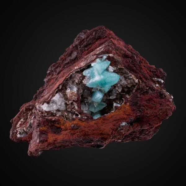 Adamite v. Cuprian