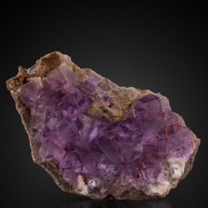 Fluorite with Bracciopod