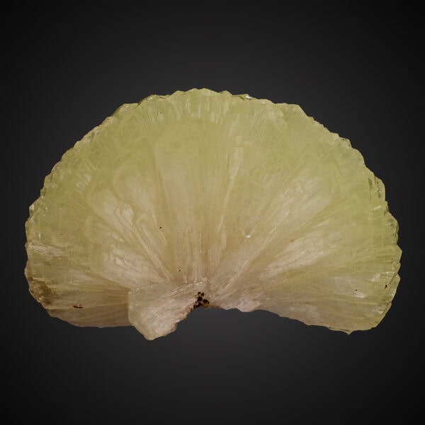 Adamite