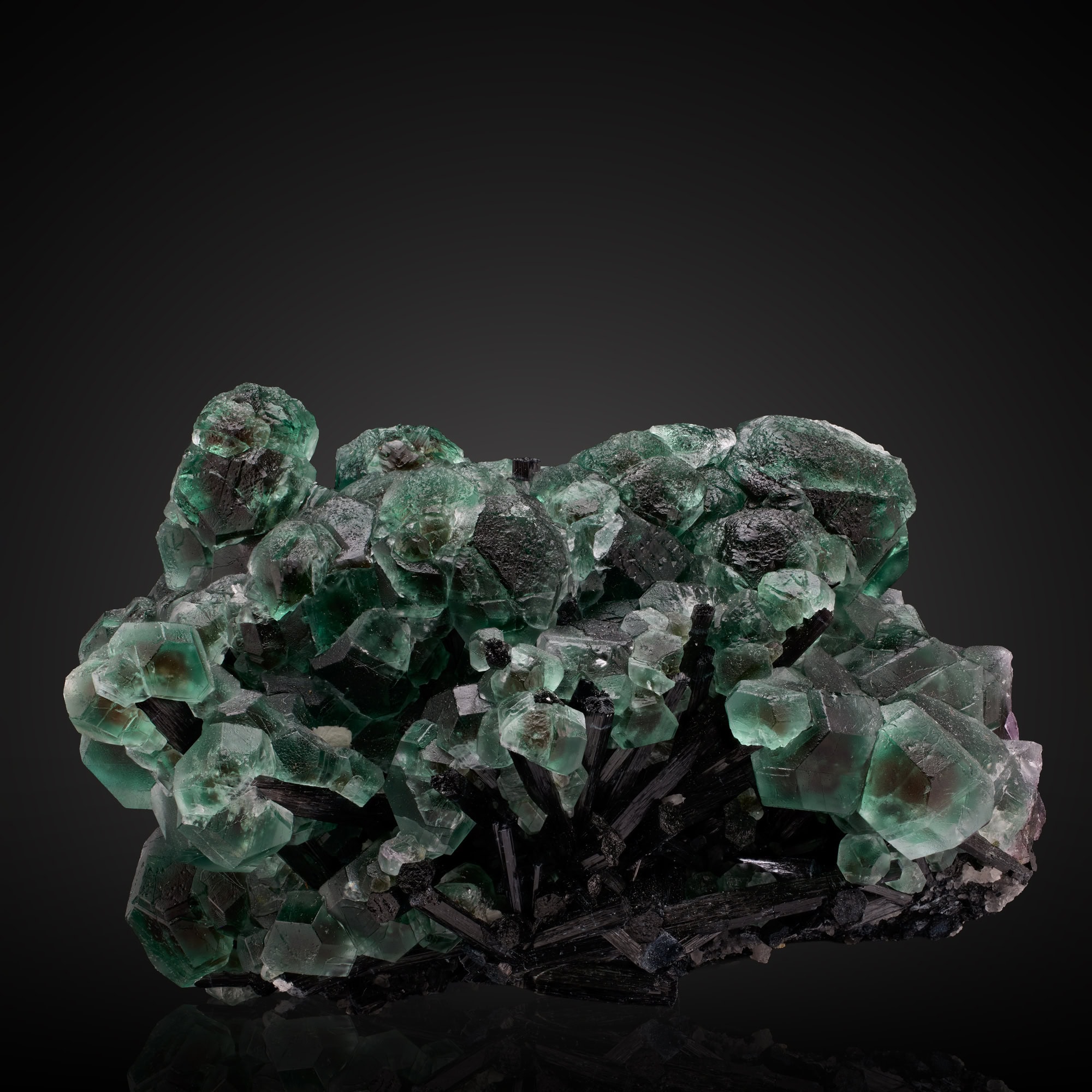 Fluorite, Schorl